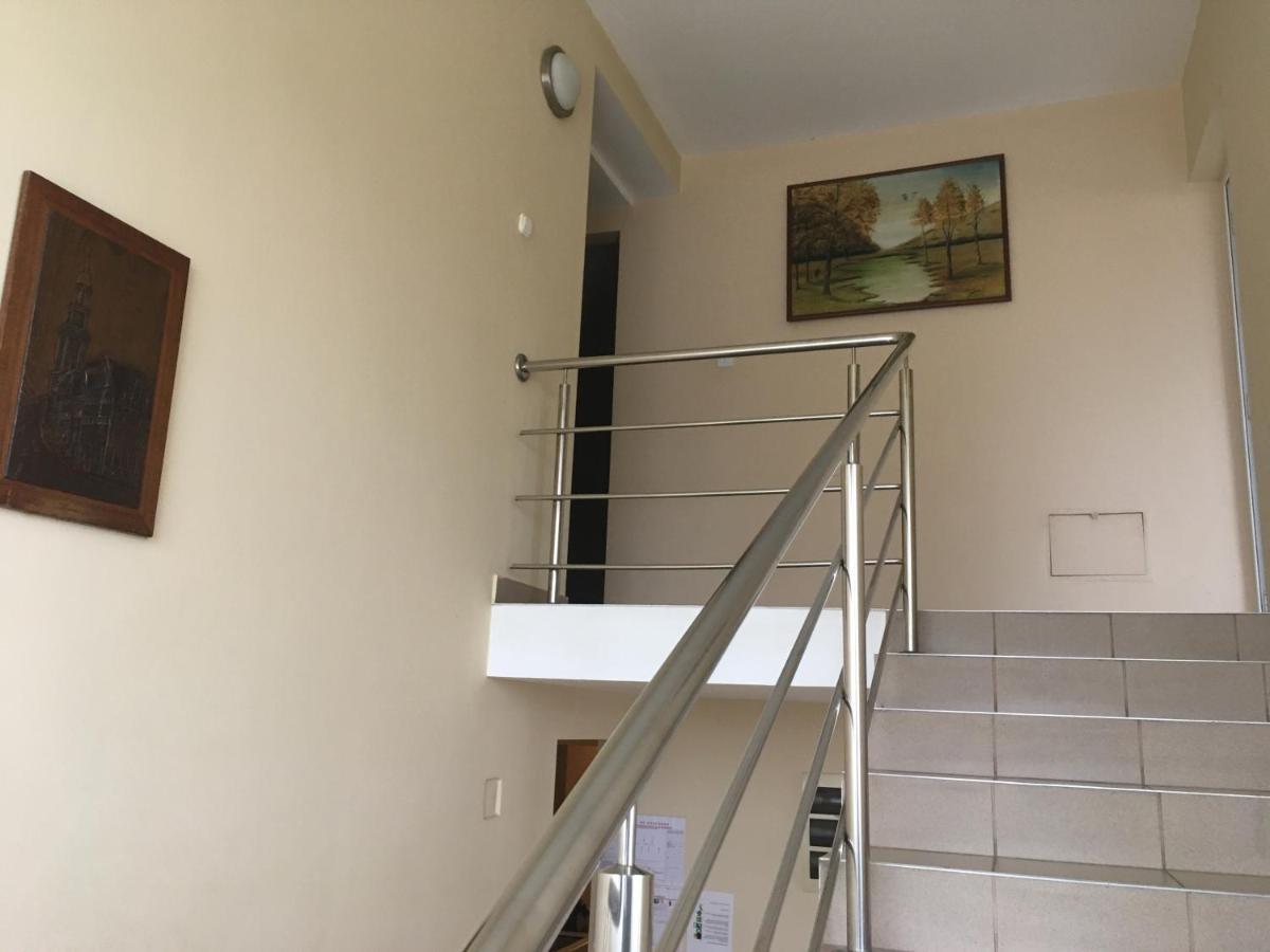 Pensiunea Brigi Satu Mare Zewnętrze zdjęcie