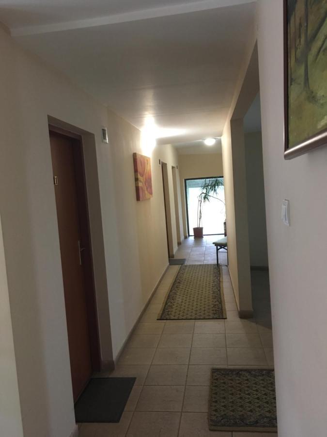 Pensiunea Brigi Satu Mare Zewnętrze zdjęcie