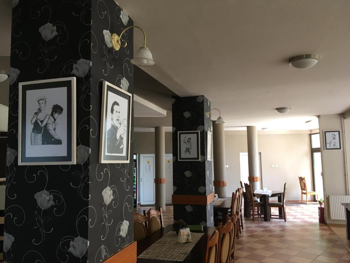 Pensiunea Brigi Satu Mare Zewnętrze zdjęcie