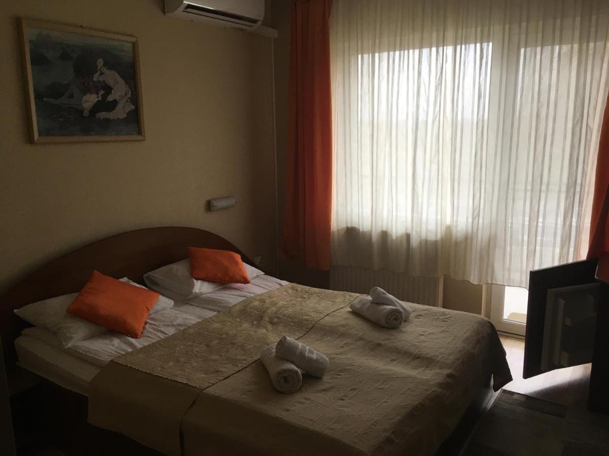 Pensiunea Brigi Satu Mare Zewnętrze zdjęcie
